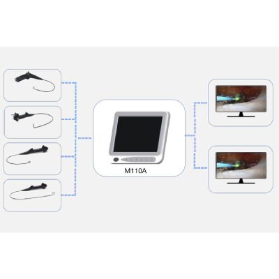 VIDEO PROCESSORE M110A